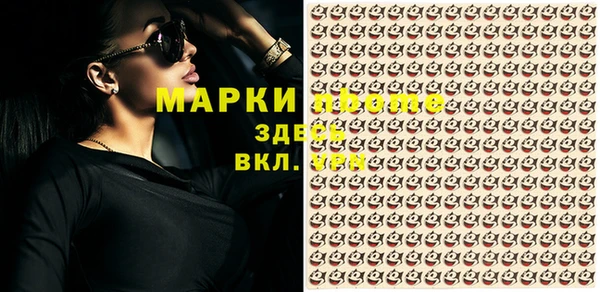 ГАЛЛЮЦИНОГЕННЫЕ ГРИБЫ Алзамай