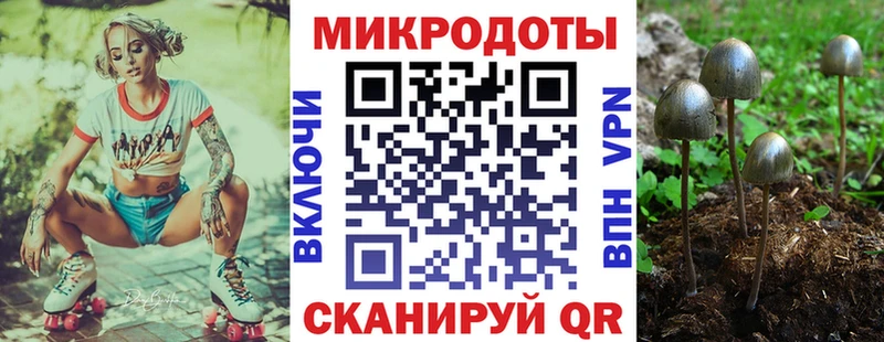 Галлюциногенные грибы мухоморы Луга